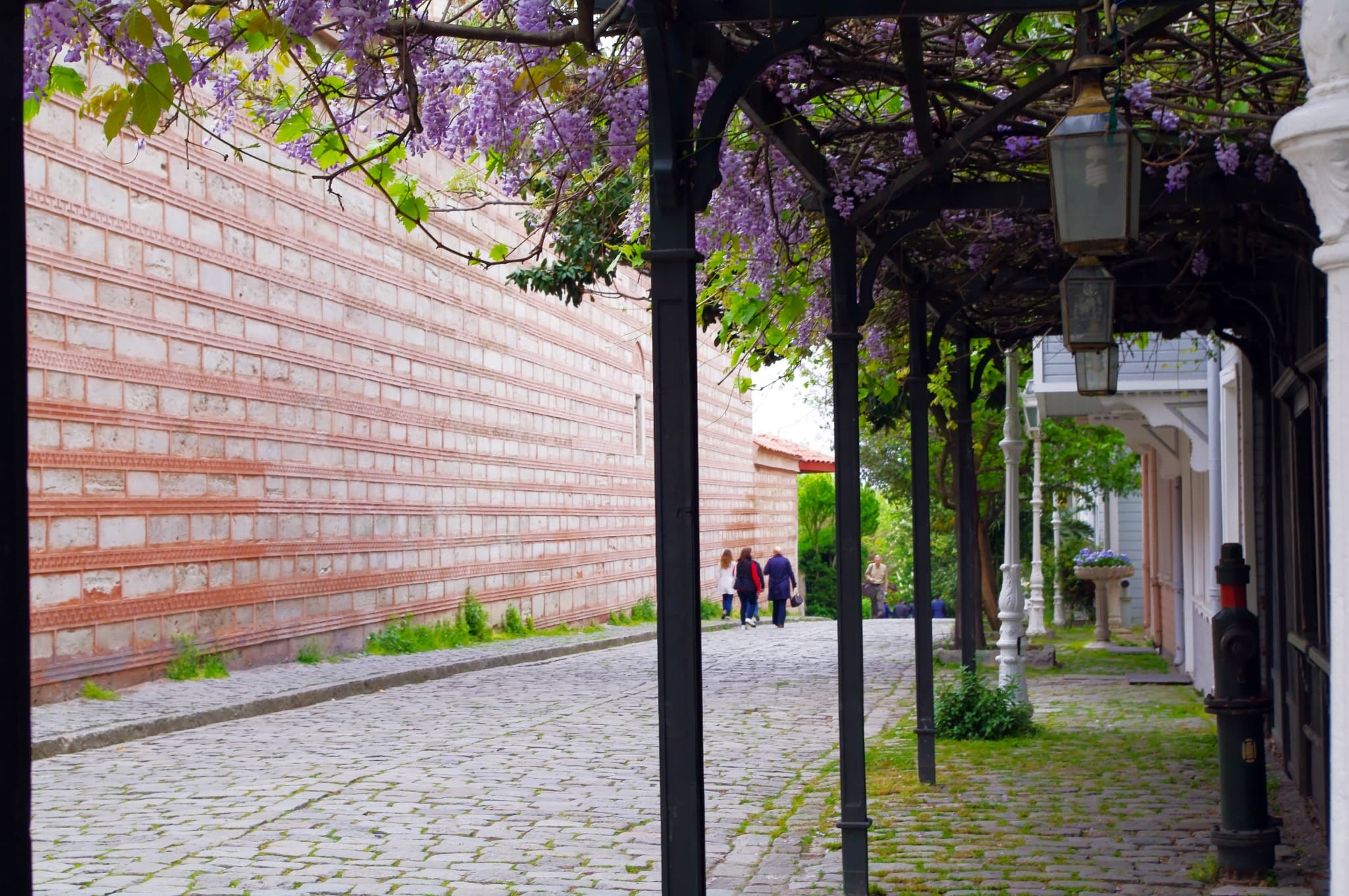 İstanbul ilkbaharda çekilmiş sokak fotoğrafı.